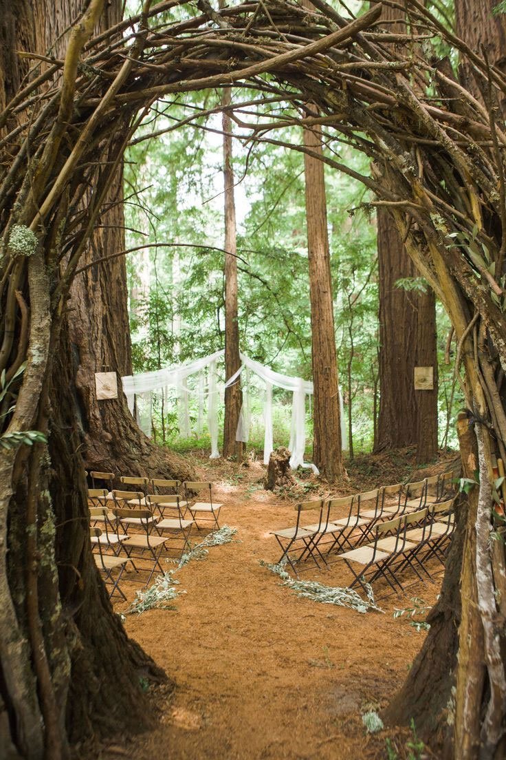 lieu ceremonie mariage en pleine foret de bois